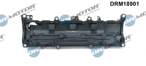 Cylinder Head Cover DRM18901