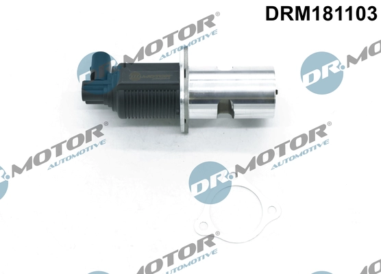 EGR Valve DRM181103