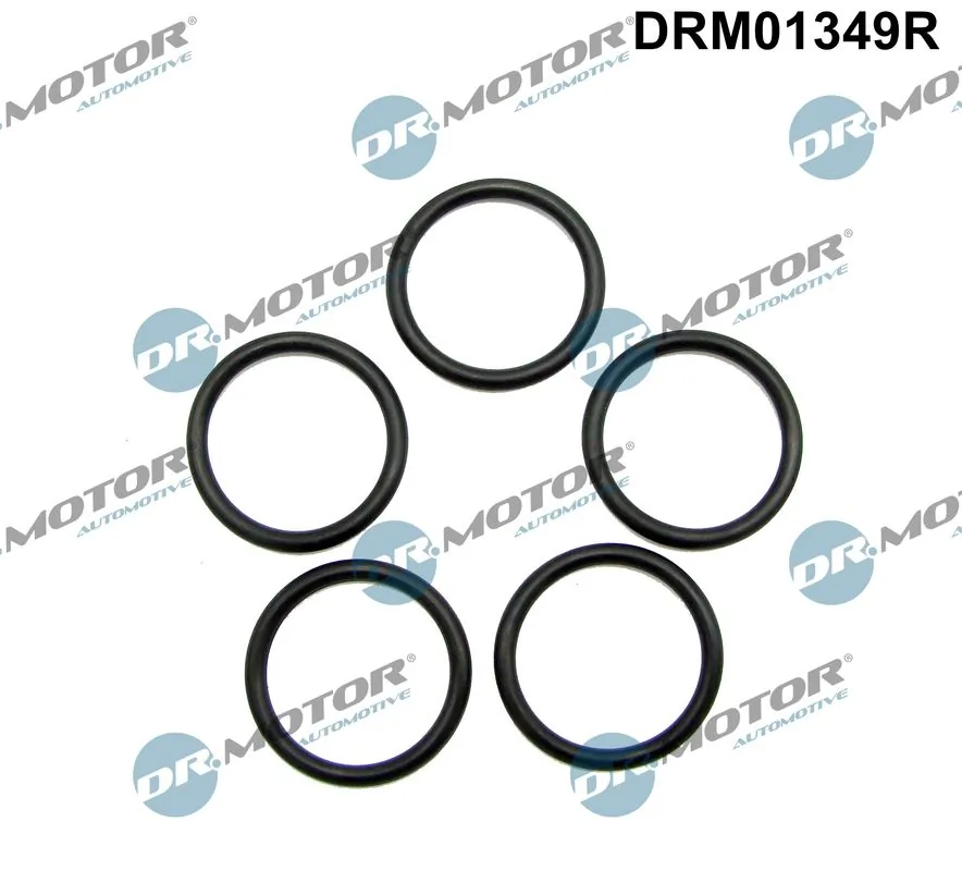 Seal Ring, oil drain plug DRM01349R