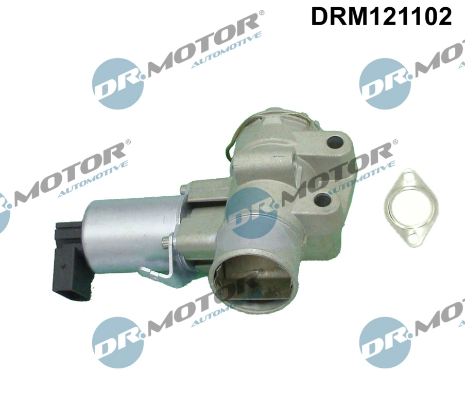 EGR Valve DRM121102