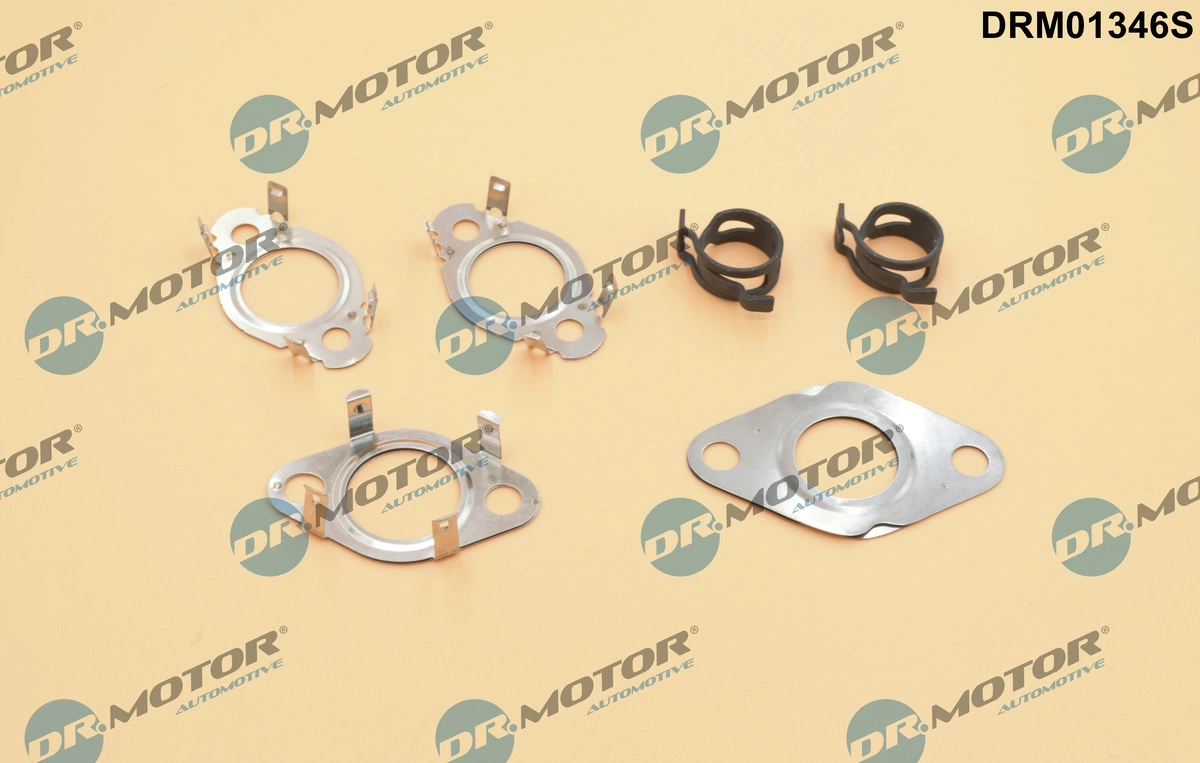 Gasket Set, EGR system DRM01346S