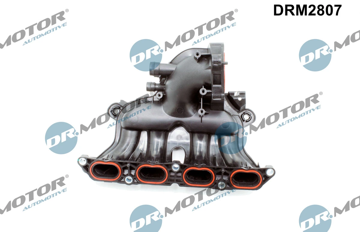 Intake Manifold Module DRM2807