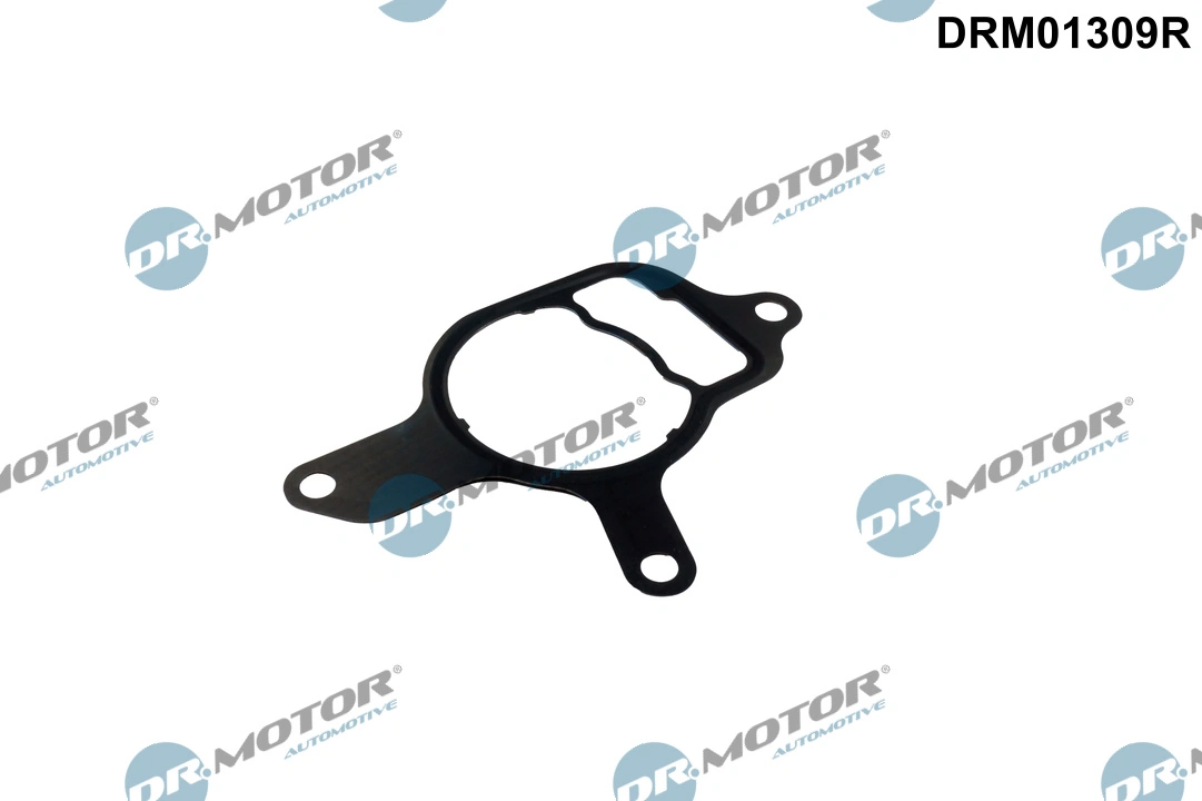 Gasket, vacuum pump DRM01309R