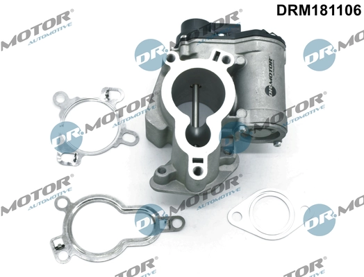 EGR Valve DRM181106