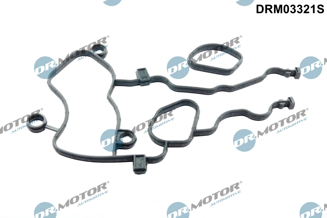 Gasket Kit, timing case DRM03321S