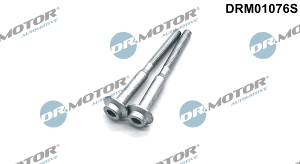 Screw, injection nozzle holder DRM01076S