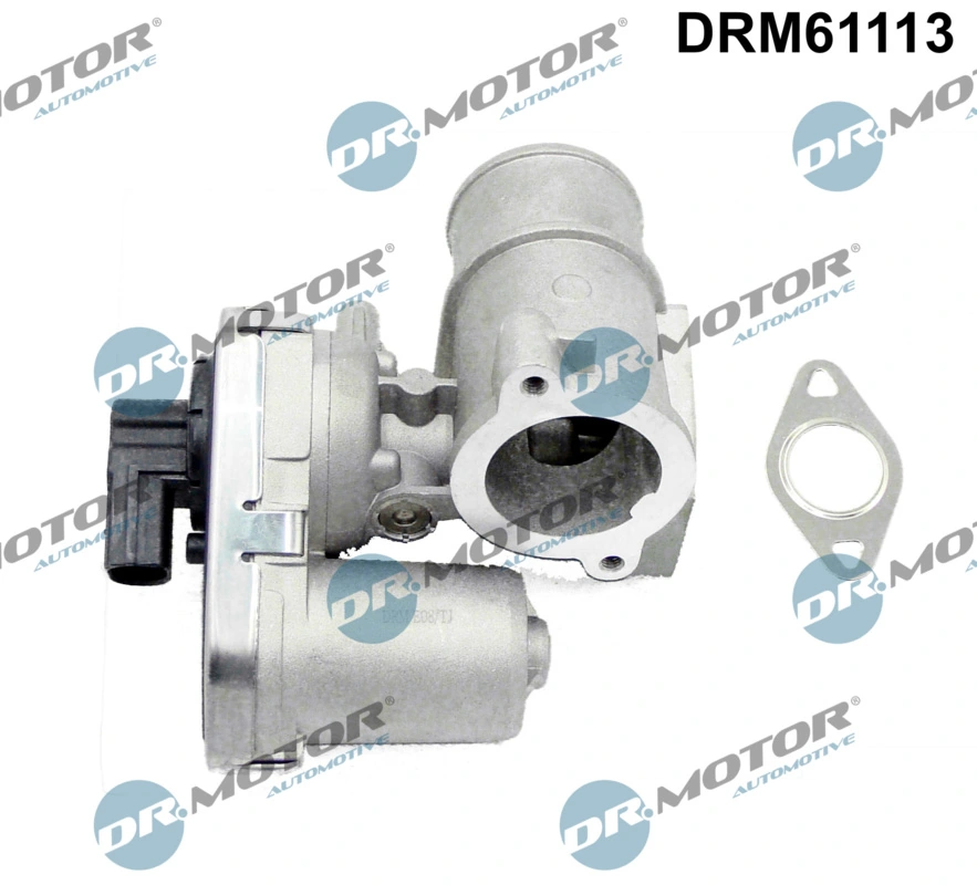 EGR Valve DRM61113