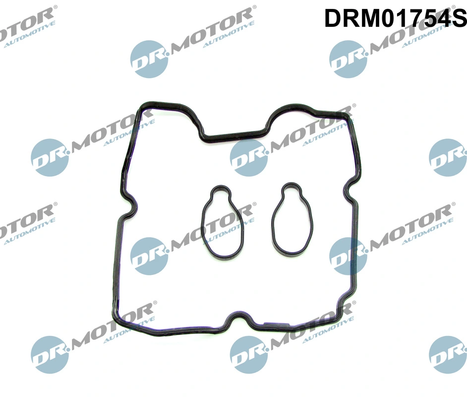 Gasket Set, cylinder head cover DRM01754S