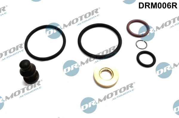Repair Kit, unit injector DRM006R