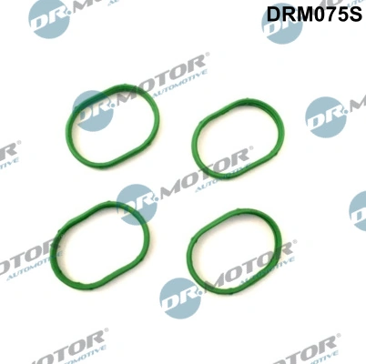 Gasket Set, intake manifold DRM075S