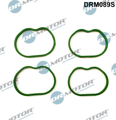 Gasket Set, intake manifold DRM089S