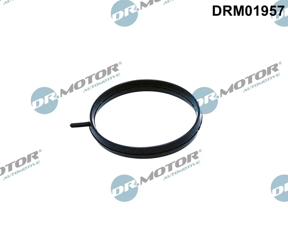 Gasket, throttle body DRM01957
