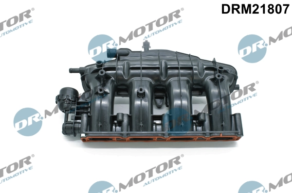 Intake Manifold Module DRM21807