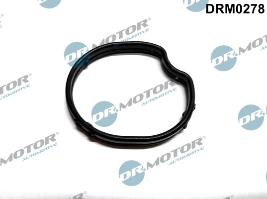 Gasket, thermostat housing DRM0278