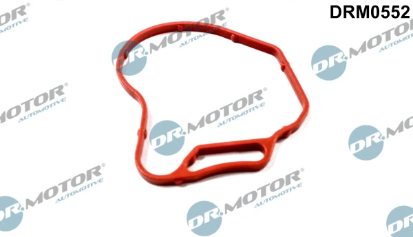 Gasket, vacuum pump DRM0552