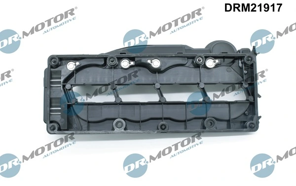Cylinder Head Cover DRM21917