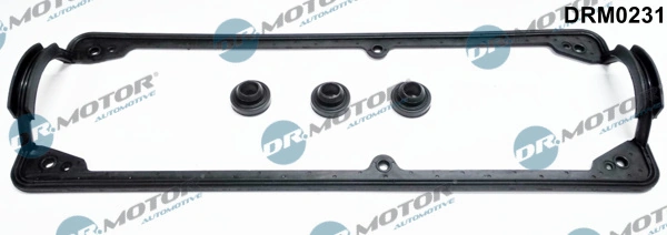 Gasket Set, cylinder head cover DRM0231