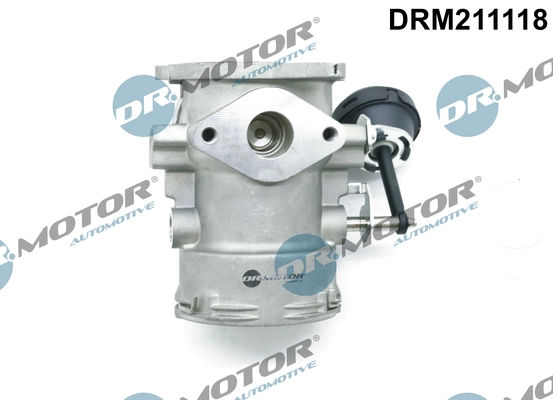 EGR Valve DRM211118