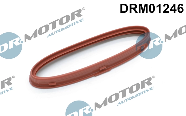 Seal Ring, charger DRM01246