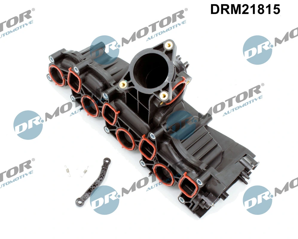 Intake Manifold Module DRM21815