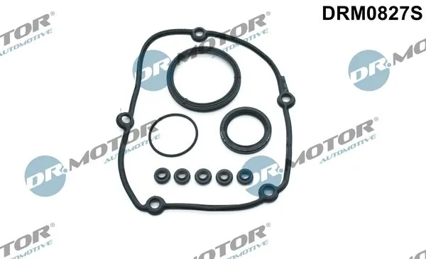 Gasket Kit, timing case DRM0827S