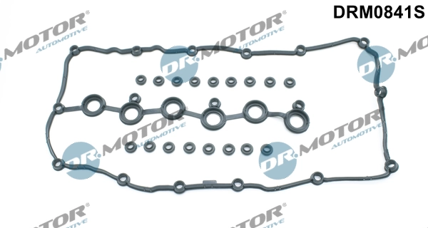 Gasket Set, cylinder head cover DRM0841S