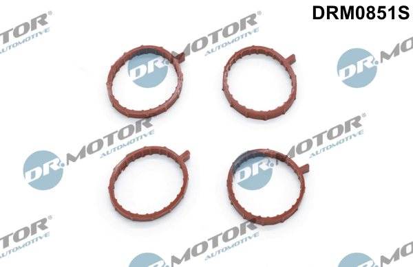 Gasket Set, intake manifold DRM0851S