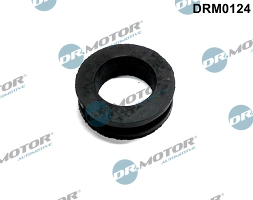 Gasket, crankcase ventilation DRM0124