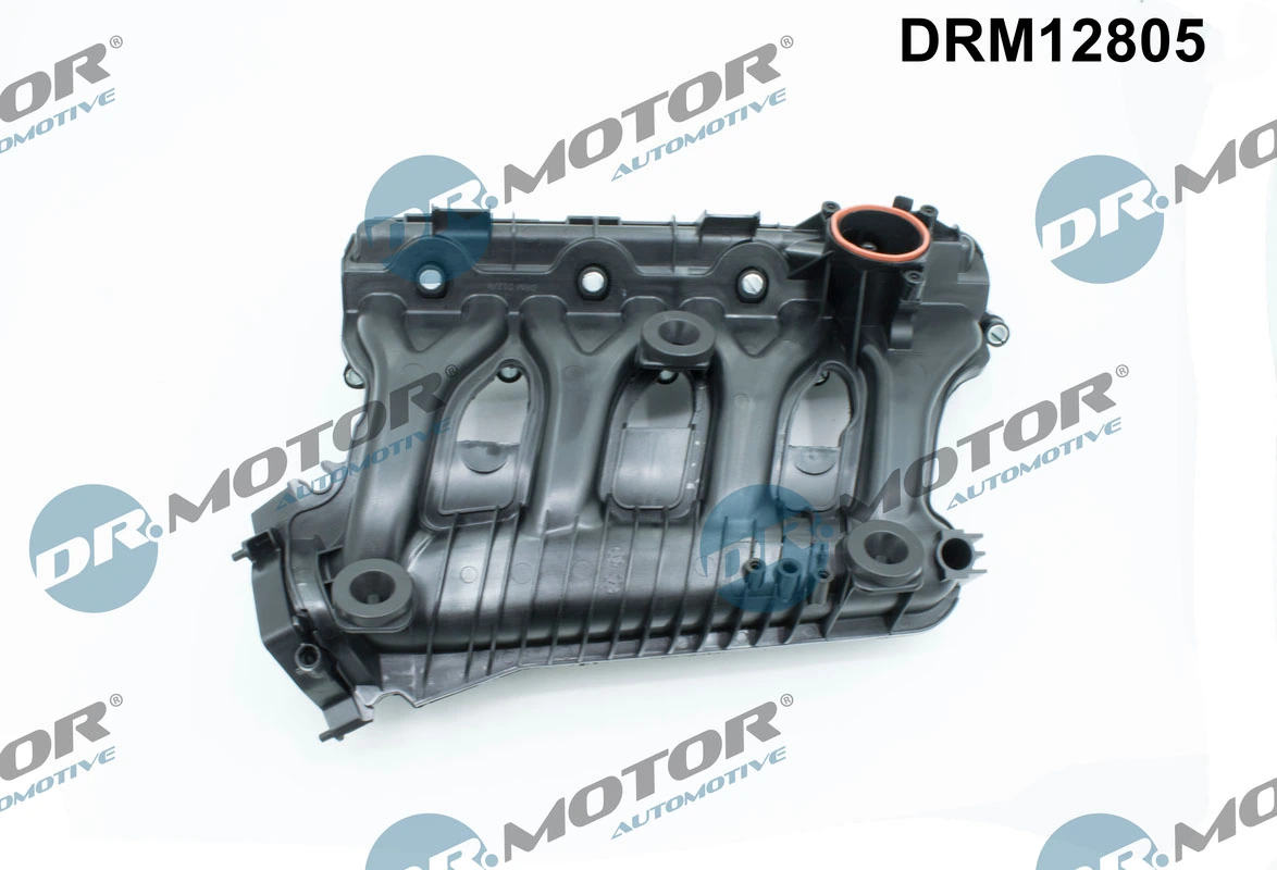 Intake Manifold Module DRM12805