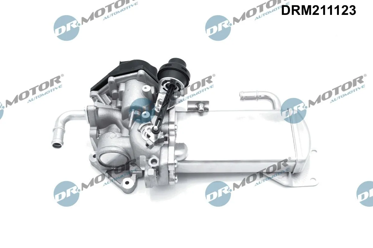 EGR Valve DRM211123
