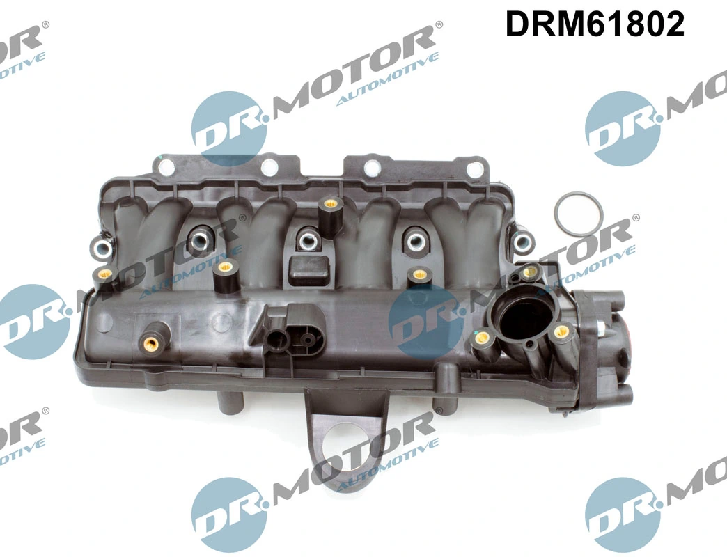 Dr.Motor Automotive DRM61802 Intake Manifold Module