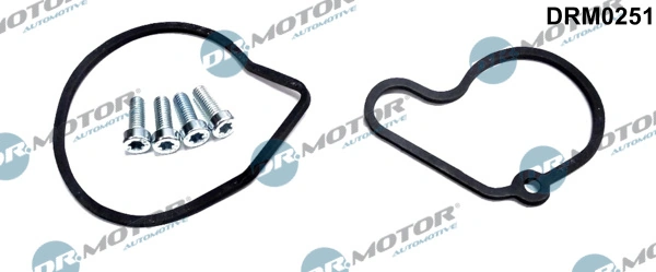 Repair Set, vacuum pump (braking system) DRM0251