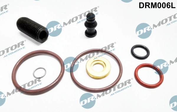 Repair Kit, unit injector DRM006L