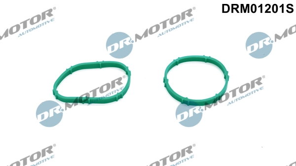 Gasket Set, intake manifold DRM01201S