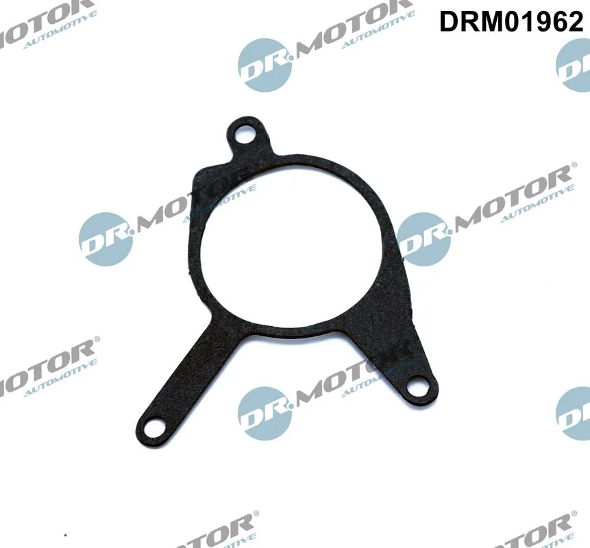 Gasket, vacuum pump DRM01962