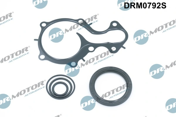 Gasket Kit, crankcase DRM0792S