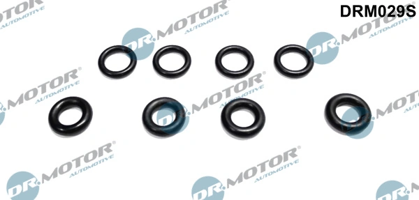 Seal Ring, injector DRM029S