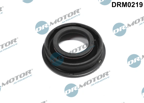 Seal, injector holder DRM0219