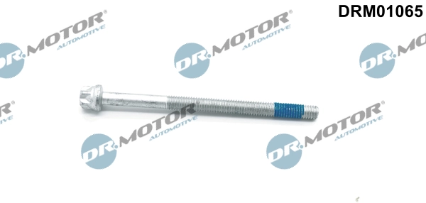 Screw, injection nozzle holder DRM01065
