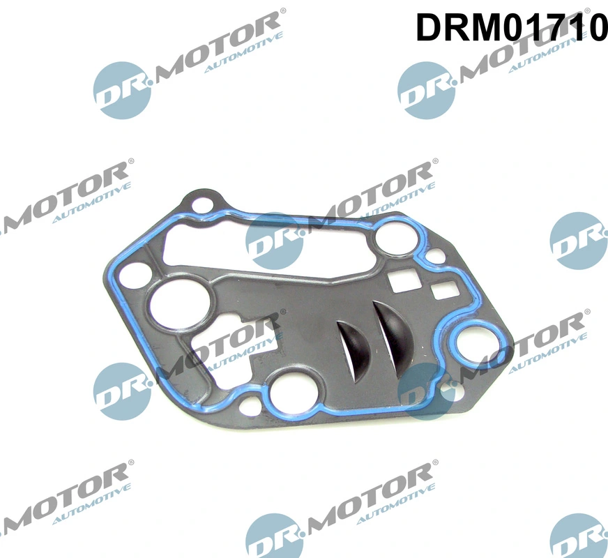 Gasket, oil filter housing DRM01710