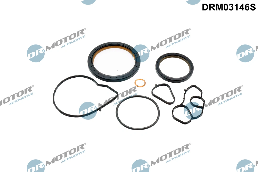 Gasket Kit, crankcase DRM03146S