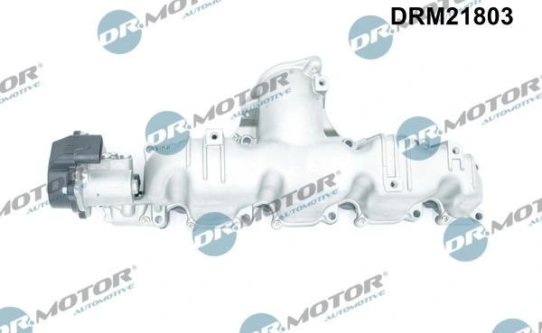 Intake Manifold Module DRM21803