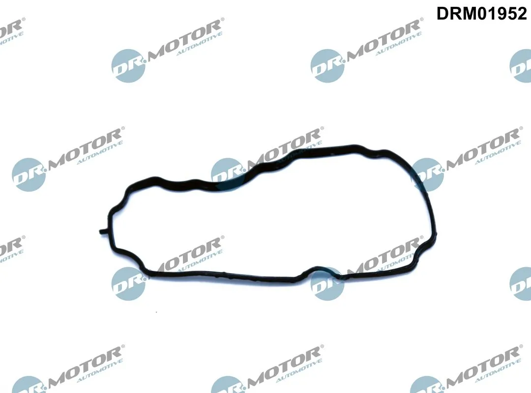 Gasket, crankcase ventilation DRM01952