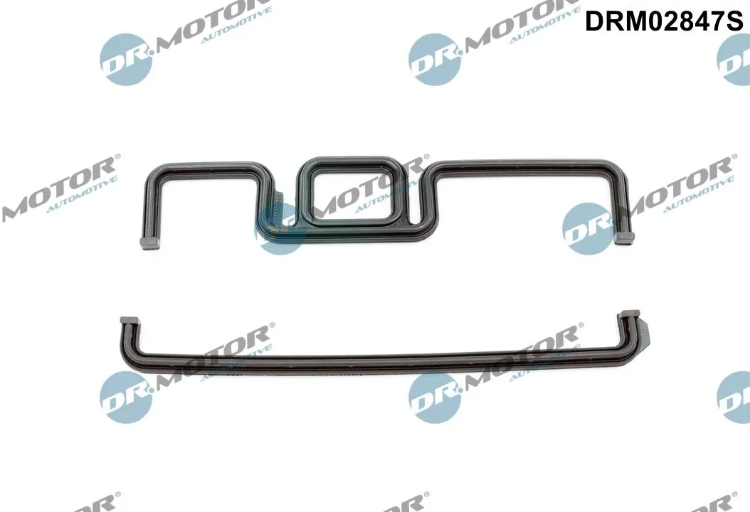 Gasket, timing case DRM02847S