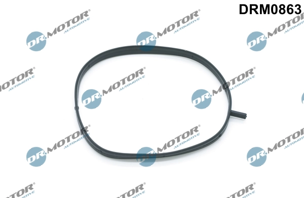 Gasket, intake manifold housing DRM0863