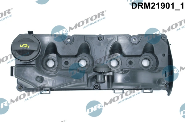 Cylinder Head Cover DRM21901