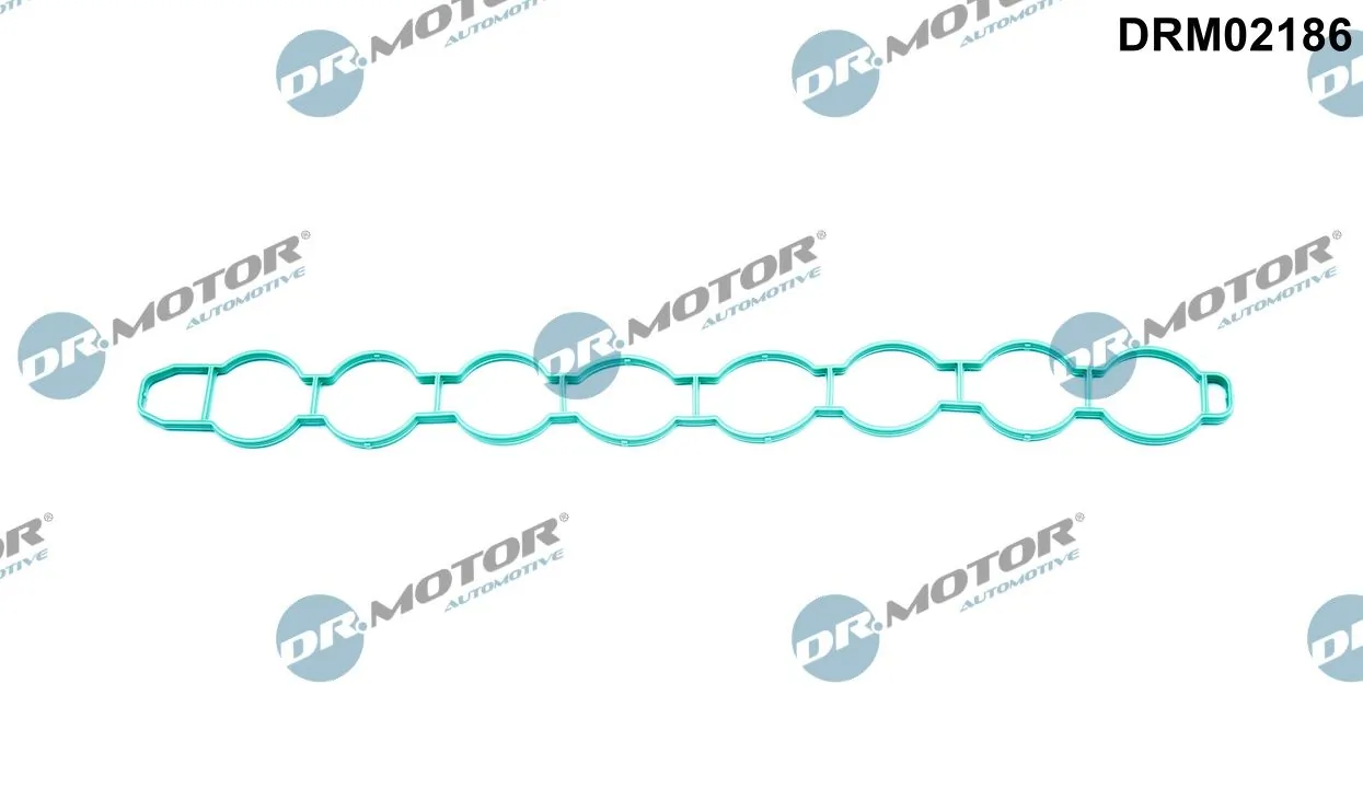 Gasket, intake manifold DRM02186