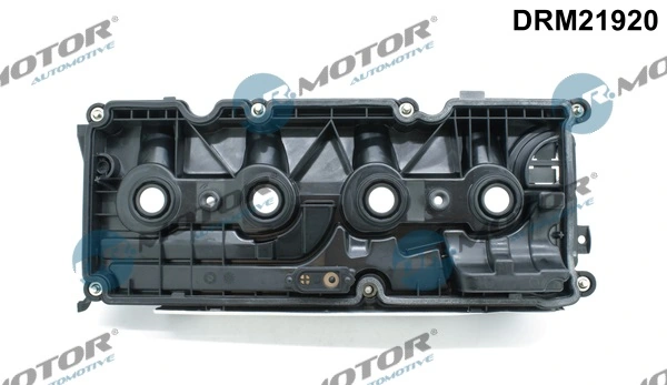 Cylinder Head Cover DRM21920
