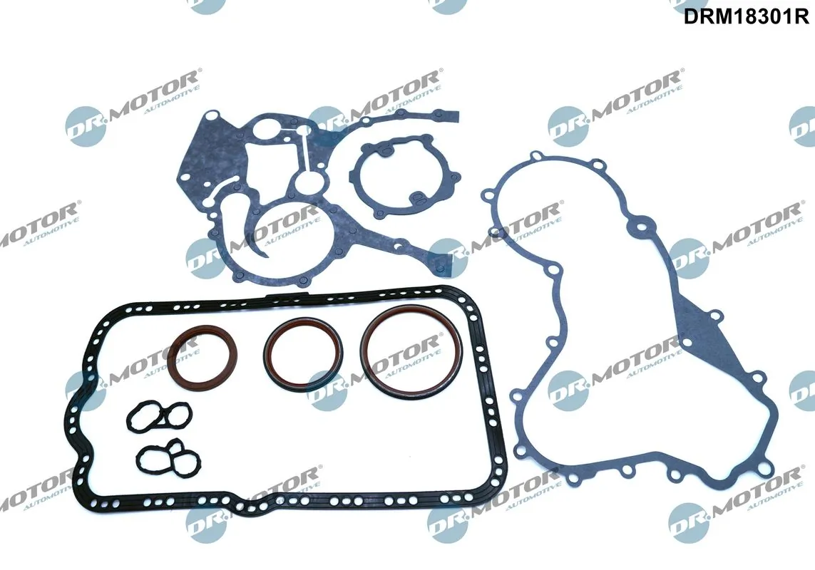 Gasket Kit, crankcase DRM18301R