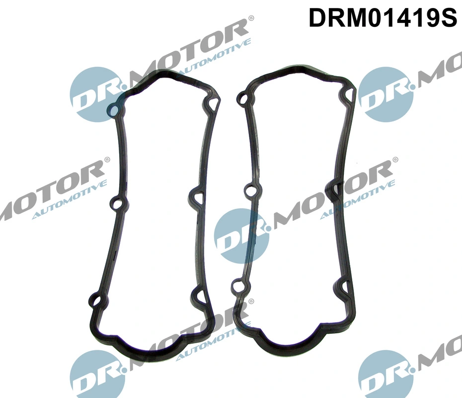 Gasket Set, cylinder head cover DRM01419S